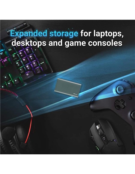 DISCO DURO EXTERNO PNY PORTABLE SSD 960GB 1TB