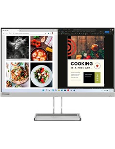 MONITOR LENOVO L24I-40 24 100HZ MUTIMEDIA HDMI VGA WHITE