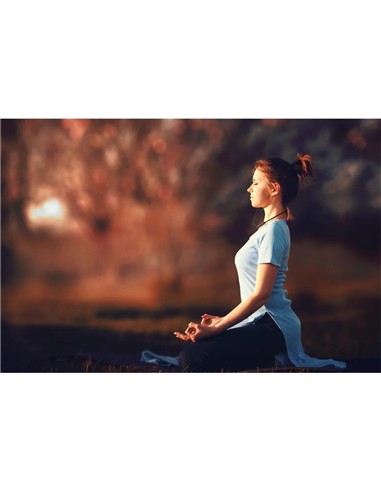 AURICULARES MOTOROLA SP106 SPORT IN EAR...