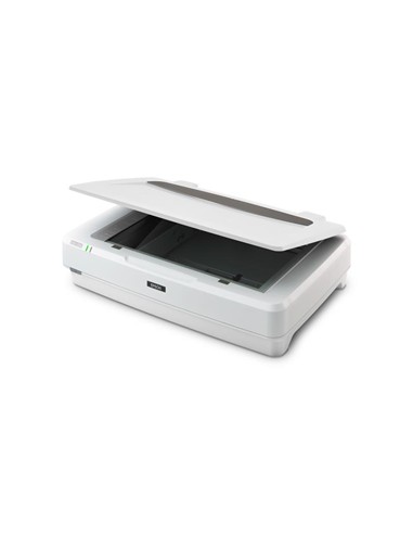 ESCANER EPSON EXPRESSION 13000XL PRO A3