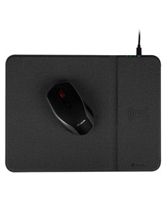 RATON + ALFOMBRILLA NGS WIRELESS CHARGING 2