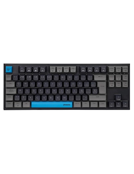 TECLADO PHOENIX ROYAL GAMING MECANICO USB RGB BLACK