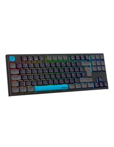 TECLADO PHOENIX ROYAL GAMING MECANICO USB RGB...
