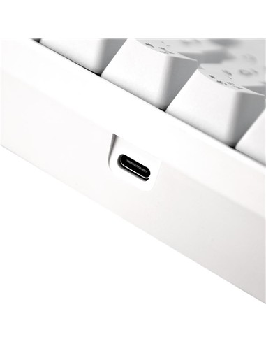 TECLADO PHOENIX MIRAGE MECANICO TKL GAMING USB RGB WHITE