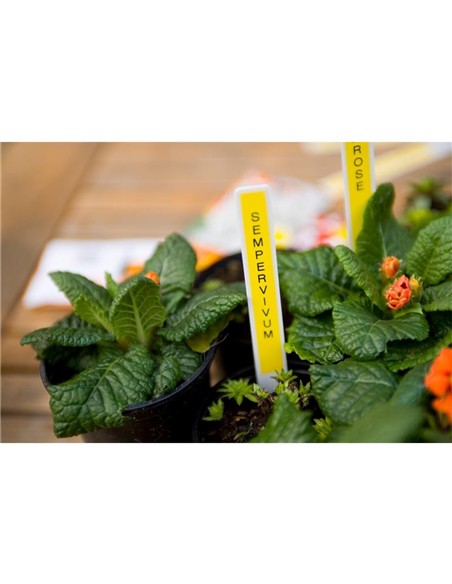 CINTA BROTHER TZE-631 12MM