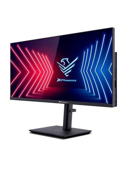 ORDENADOR PHOENIX AIO 29 I7 10700/16G/SSD1TB/WIFI/GTX1050/WEBCAM/R.ALT