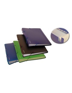 ARCHIVADOR ACORDEON POLIP. FOLIO DISPLAST 13DEP.